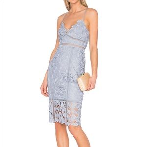 Bardot Botanical Lace Dress from Revolve